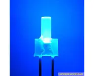 10 LEDs 2mm bleue